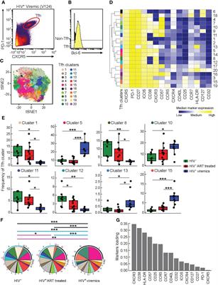 The deficiency in Th2-like Tfh cells affects the maturation and quality of HIV-specific B cell response in viremic infection